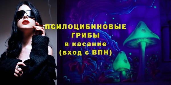 сатива Алексеевка