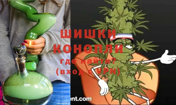 сатива Алексеевка