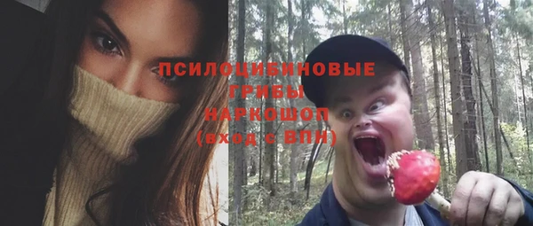 МДПВ Алзамай