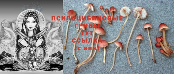 МДПВ Алзамай