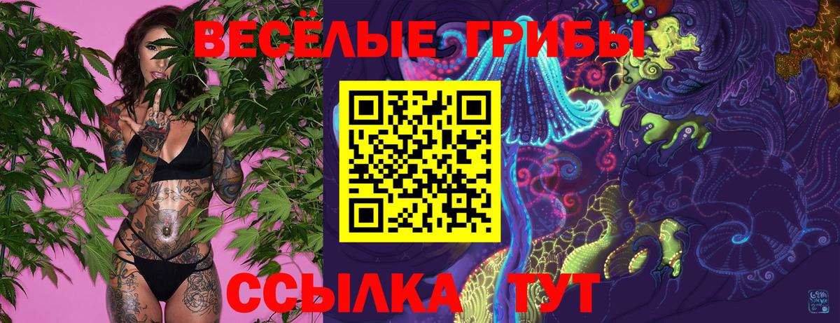 Галлюциногенные грибы Magic Shrooms  Вход с VPN  Галлюциногенные грибы ЛСД  Котельники 