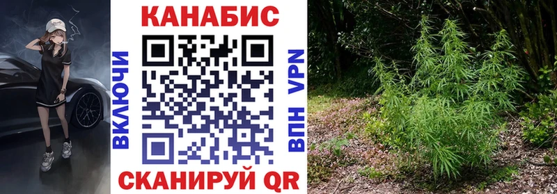 Бошки Шишки THC 21%  Котельники 